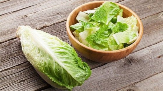 Romaine Greens for Smoothie